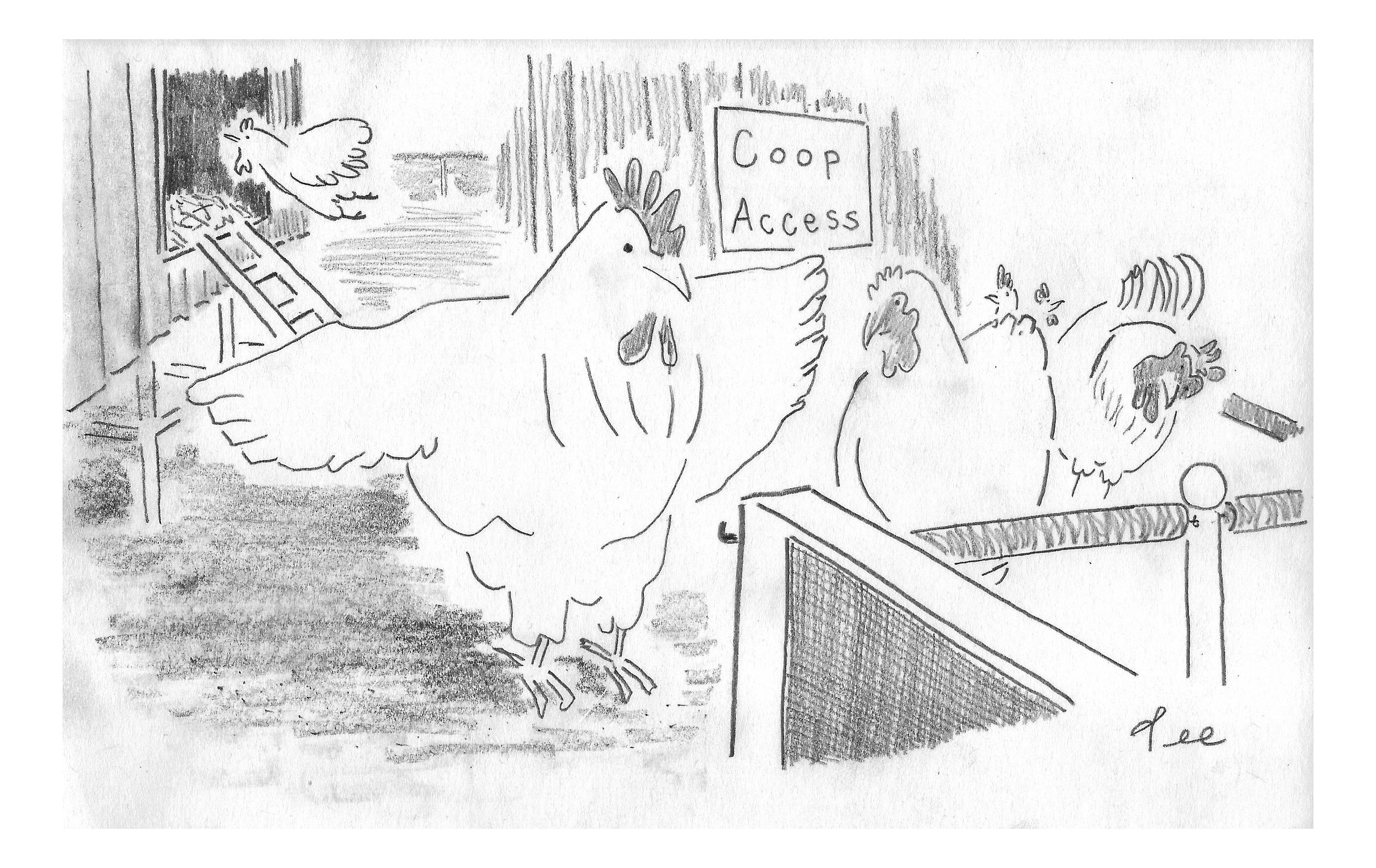 To the left a chicken flies over a ladder into a coop. A line of hens curls around the corner behind a velvet rope. A large rooster spreads it’s wings out to frisk a hen in the front of the line. A sign reads “COOP ACCESS”