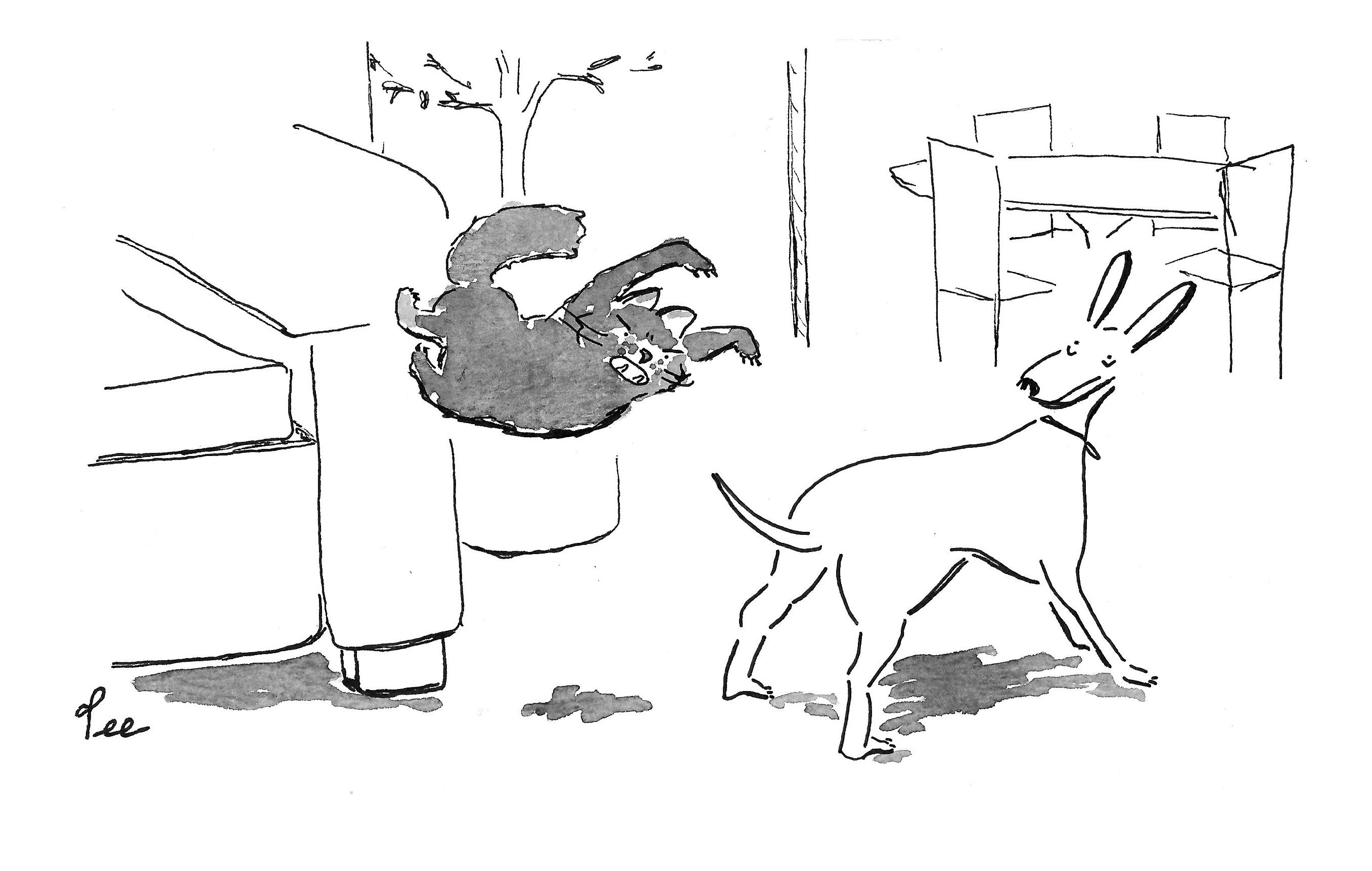 A cat leaps from an easy chair and bares all of her foreclaws. A long skinny dog looks distressed and points their long ears.