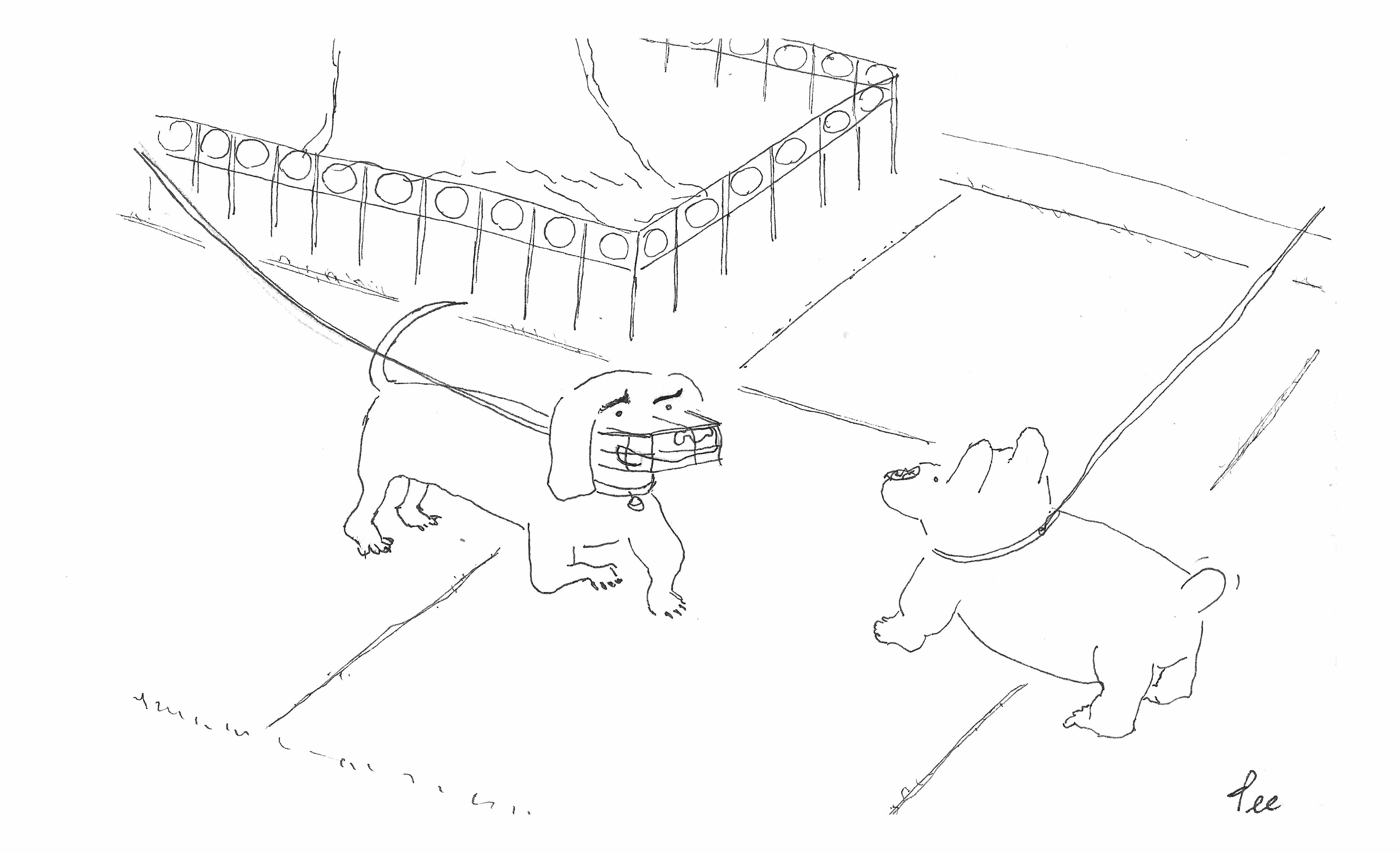 Two dogs talk on a sidewalk. One is wagging it’s tail and the other talks through it’s muzzle.