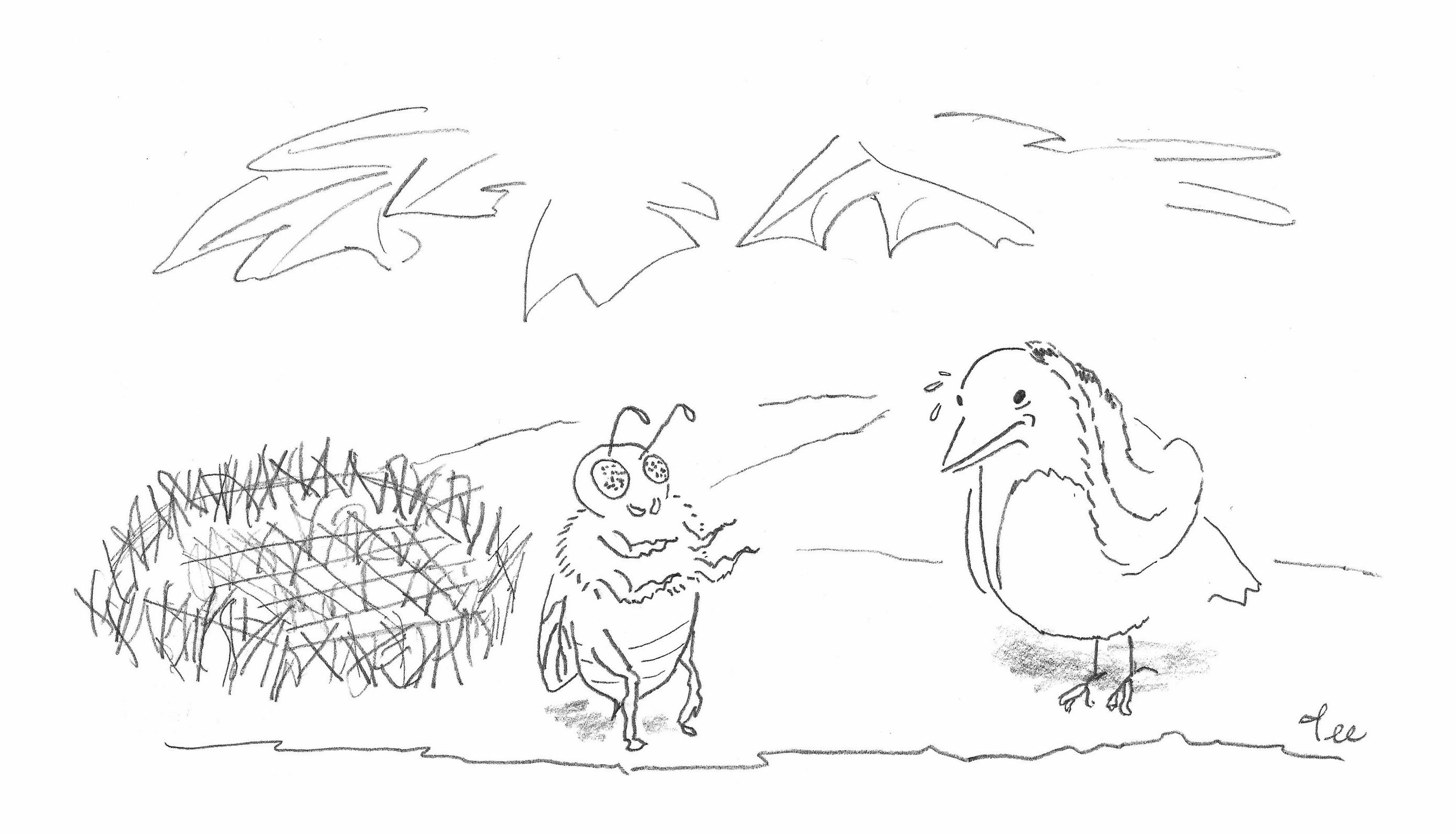 A bee and a bird chat on a branch next to a hexagonal nest.