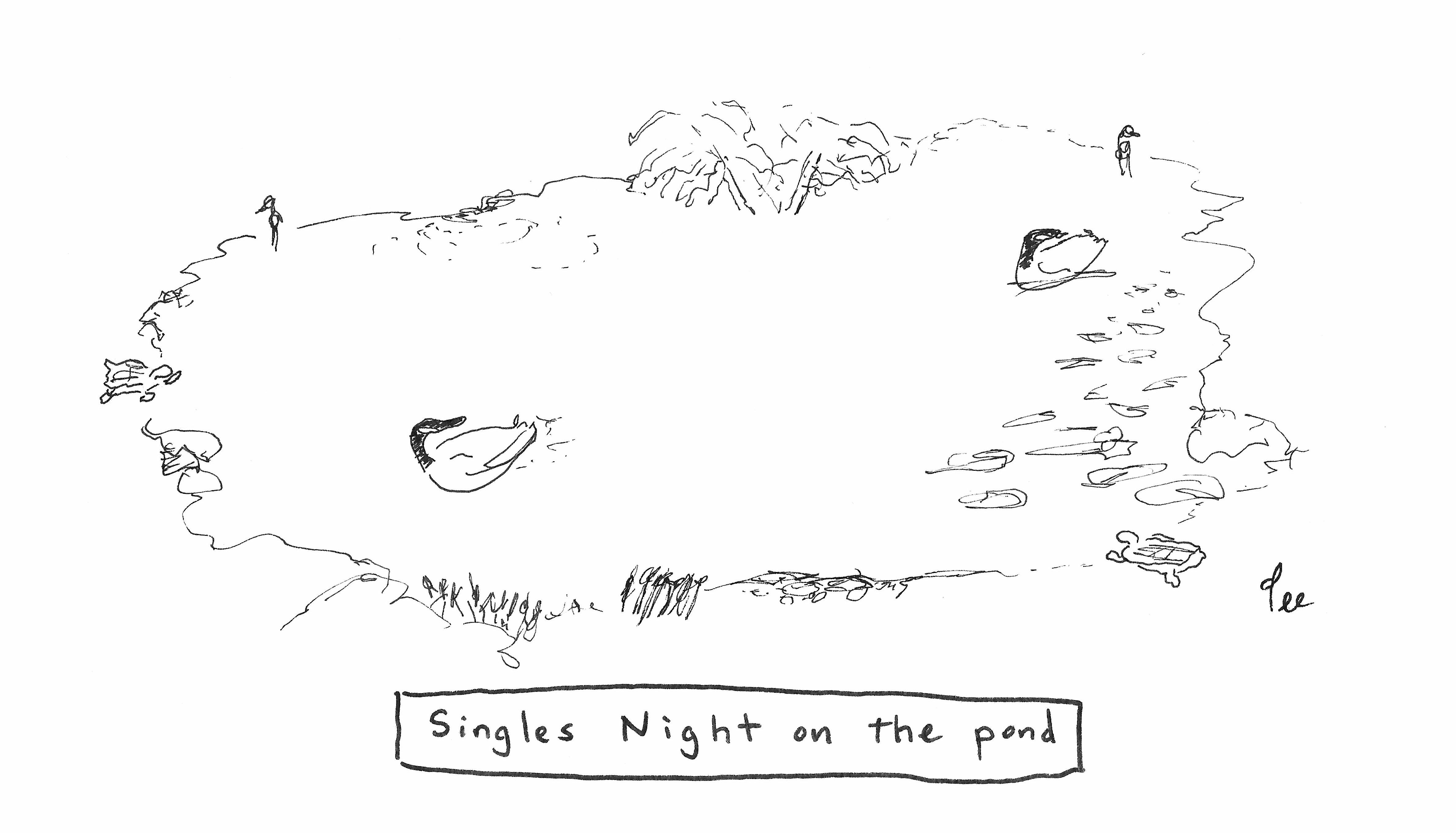 A few birds swim with their attention elsewhere with the caption “Singles Night on the Pond”