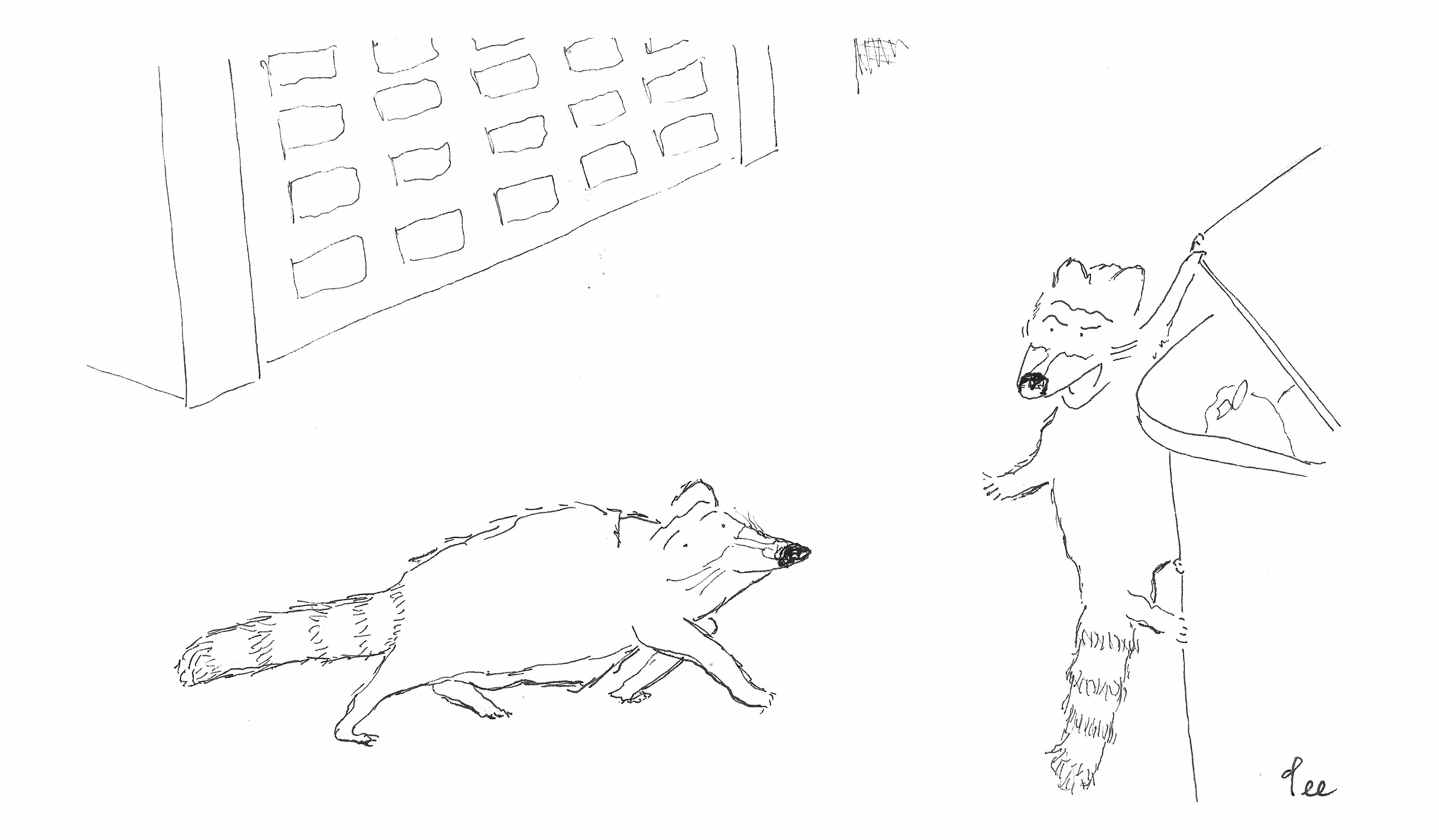 A racoon crawls into a garbage friend and says to his friend walking by…